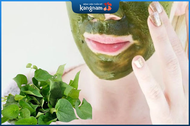 Sau khi thoa nước cốt diếp cá giúp loại bỏ bã nhờn và tạp chất trên da mặt