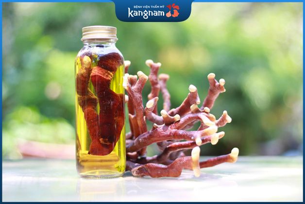 Rễ cây ngâm rượu để trị mụn