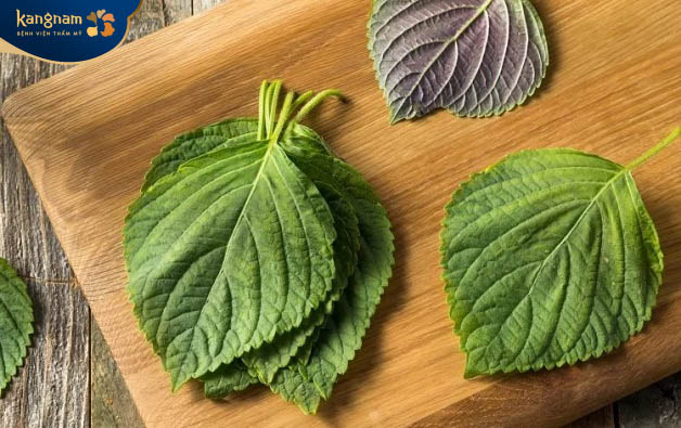 Điều trị mụn thịt bằng lá tía tô