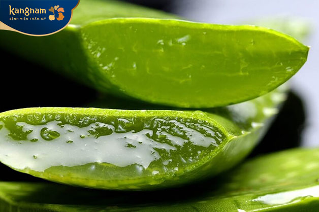 Gel nha đam sẽ làm dịu da và mờ vết sẹo 