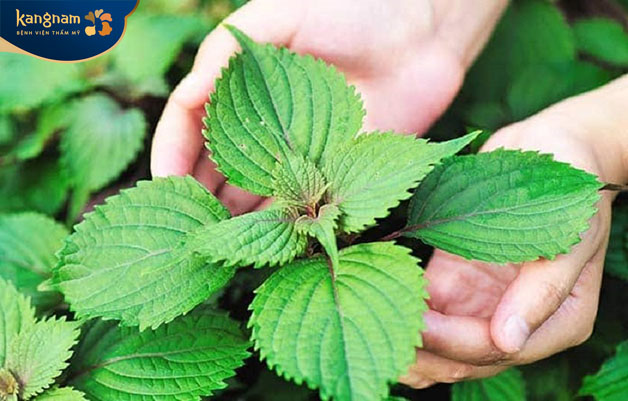 Thực hiện ngâm mình khoảng 2 lần mỗi tuần