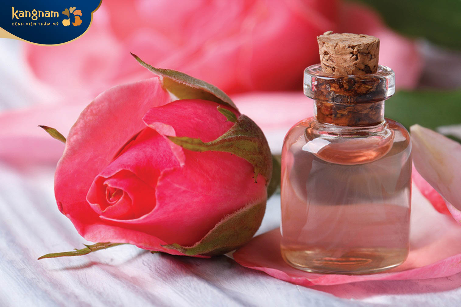 Nước hoa hồng sản phẩm chăm sóc mụn cám phổ biến