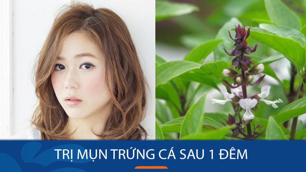 Trị mụn trứng cá cấp tốc trong 1 đêm – Không còn lo lắng về mụn