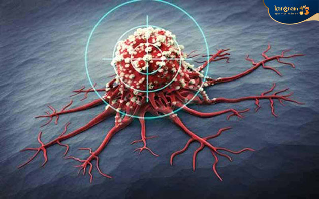 Những nốt mụn sẽ xuất hiện từ mô thần kinh của da