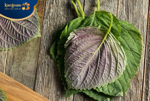 Tía tô sử dụng trong điều trị mụn cóc rất tốt