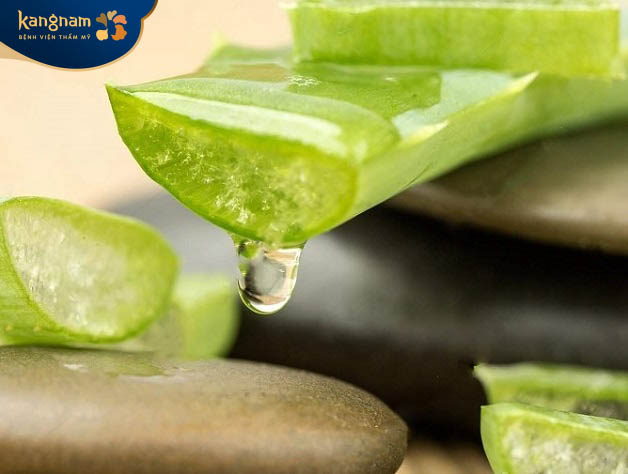 Điều trị sẹo bằng nha đam