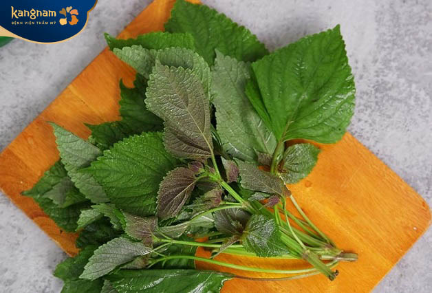 Rau tía tô trị sẹo lồi