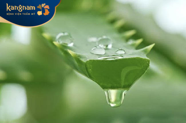 Nha đam làm sáng da hiệu quả