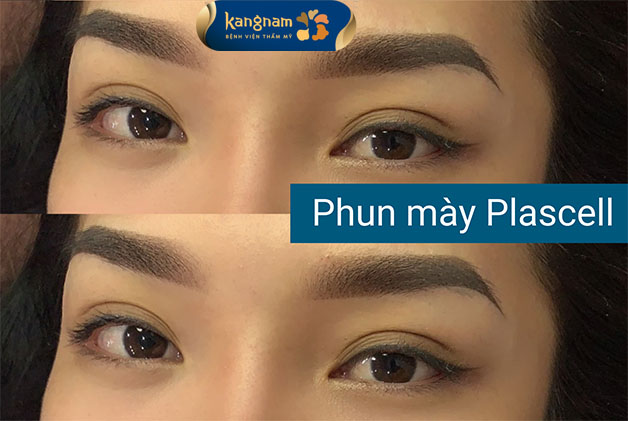 Phun lông mày Plascell dáng mày sắc nét