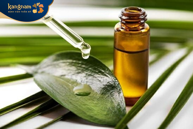 Tinh dầu tràm có tính kháng khuẩn, chống viêm