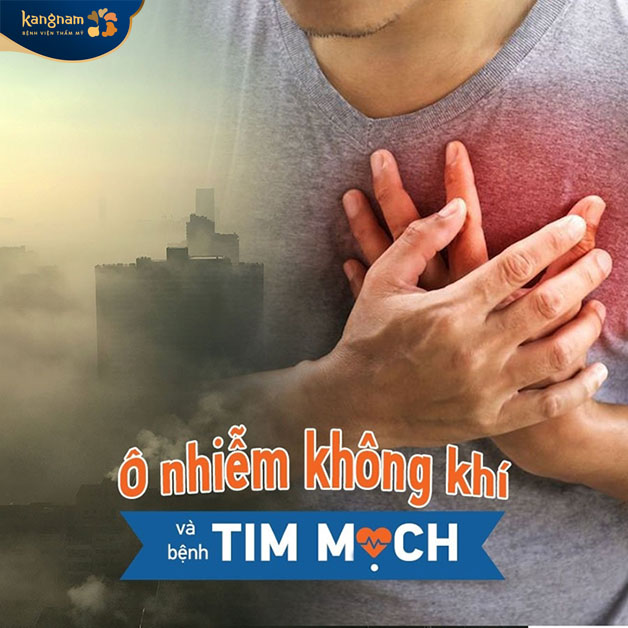 Ô nhiễm không khí kết hợp với các vấn đề khác cũng là một lý do gây ra bệnh