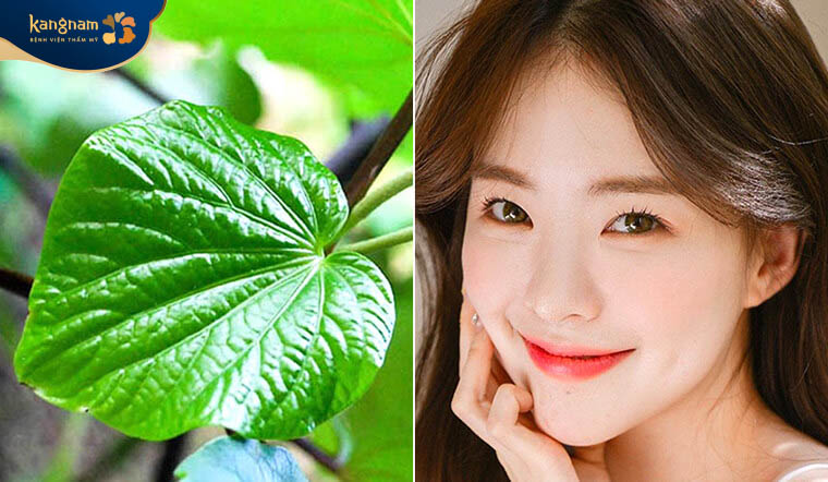 Làm xẹp mụn bọc bằng lá lốt