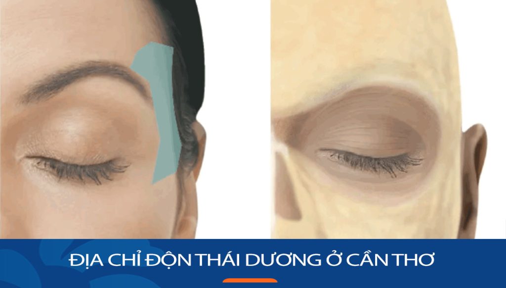 Độn thái dương kangnam Cần Thơ