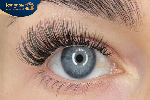 Mi đẹp tự nhiên