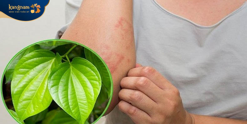 Dùng lá trầu không