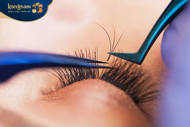 Công thức nối mi thiên thần