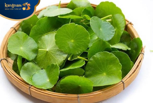 Trị sẹo rỗ bằng rau má