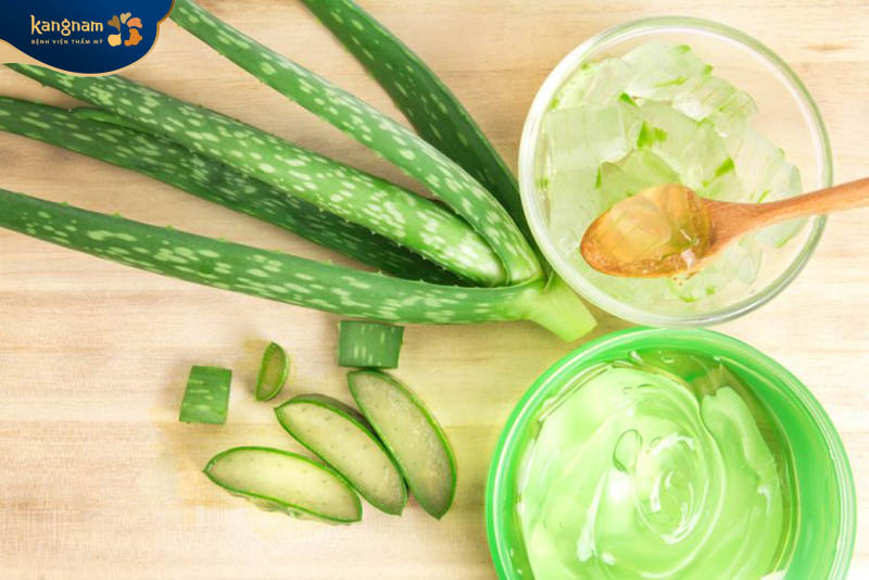 Mẹo trị mụn viêm với nha đam