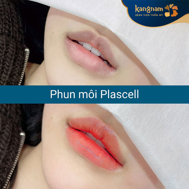 Phun môi thời thượng, tươi tắn