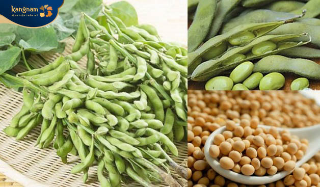 Các nhóm cây họ đậu