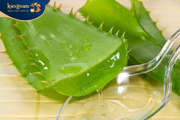 Nha đam có nhiều công dụng trong đó giúp trẻ hóa da