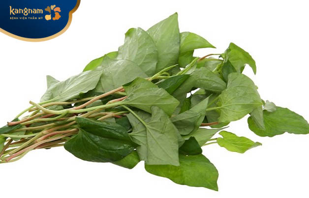 Chữa u nhọt bằng rau diếp cá