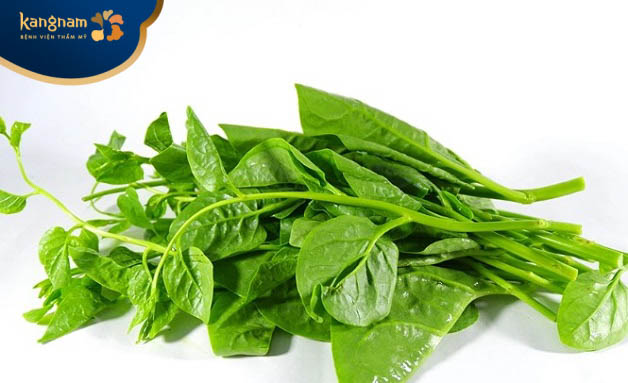 Lá mồng tơi có thành phần giúp điều trị nhọt hiệu quả