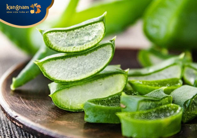 Cây nha đam chứa hoạt chất glycoprotein giúp chữa lành, giảm viêm tại vùng da bị nhọt
