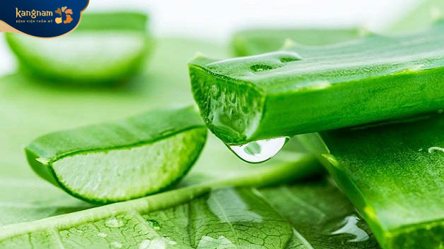 Ứng dụng mặt nạ nha đam