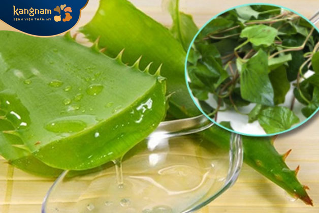 Mặt nạ rau diếp cá lô hội