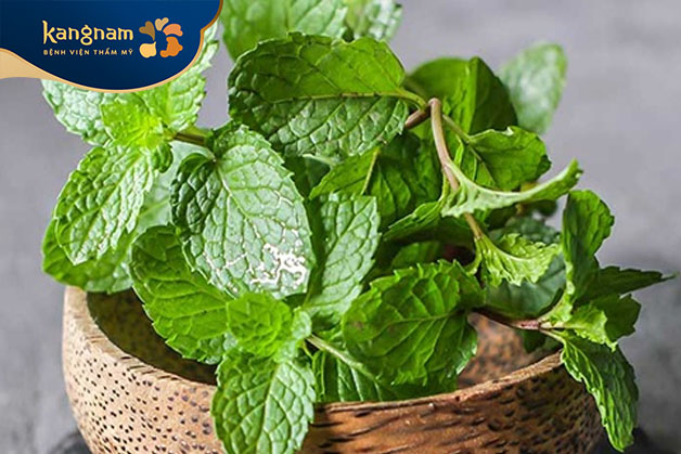 Trị mụn đầu đen ở lưng bằng lá bạc hà