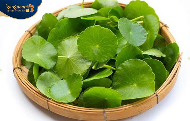 Sử dụng rau má trị thâm mụn sau 1 đêm