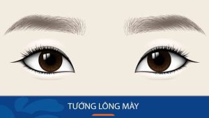 Bí Mật Xem Tướng Lông Mày Cho Vận Mệnh, Sự Nghiệp & Tình Duyên