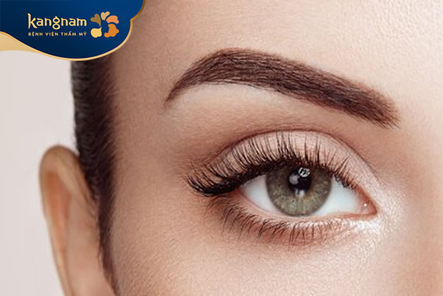 Phun lông mày màu socola