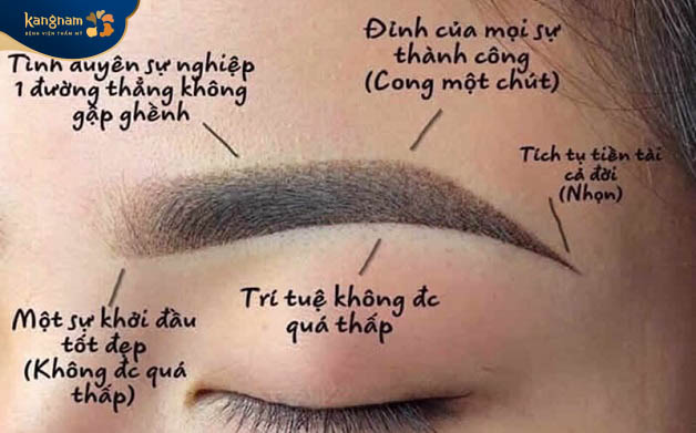 Chân mày phong thủy dự đoạn được vận mệnh, tính cách, sự nghiệp