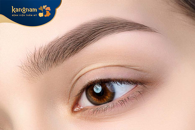 người có làn da nâu, ngăm đen, lông mày đen, dày và dáng chưa đẹp, nên lựa chọn phương pháp phun