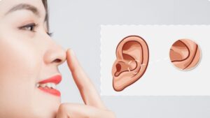 Lấy sụn nâng mũi có ảnh hưởng không? Review 3 vị trí lấy sụn an toàn & Lưu ý từ Bác sĩ