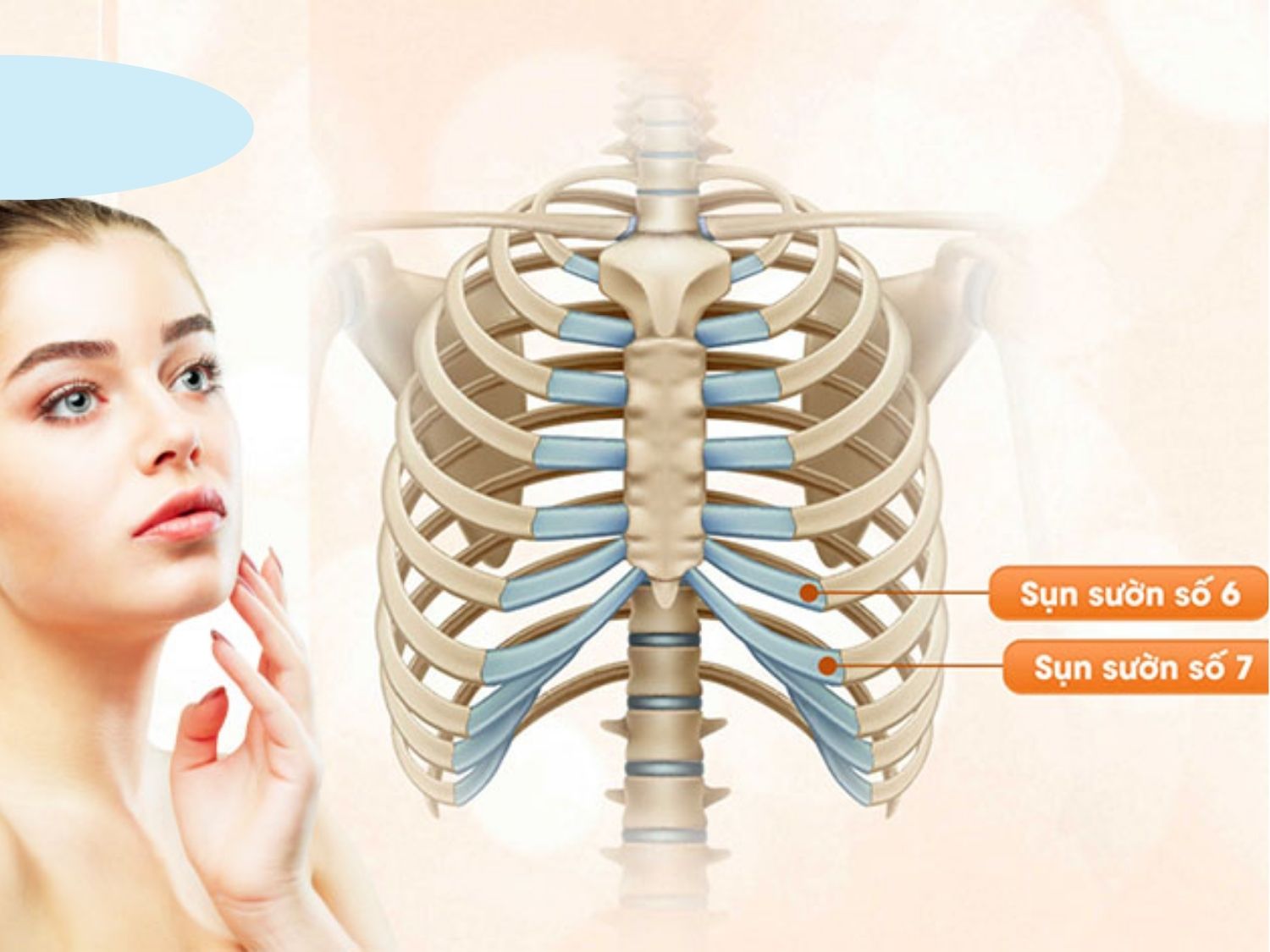 Hình ảnh mô phỏng đồ họa (3D) chỉ rõ các vị trí lấy sụn trên cơ thể người như sụn sườn