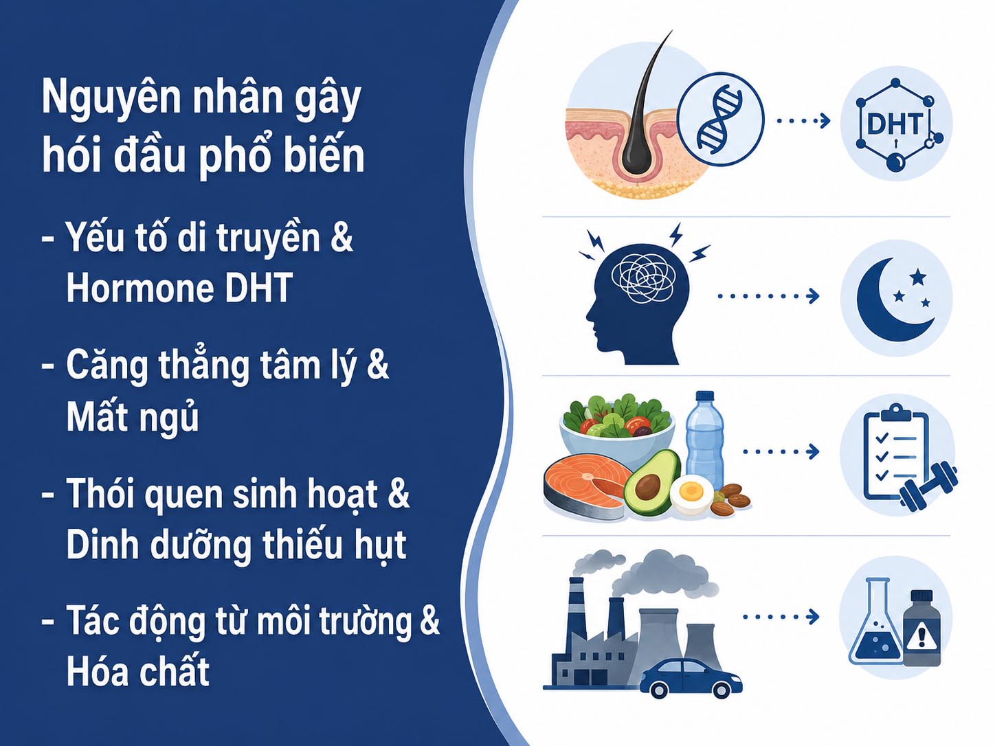 ảnh mô tả các Nguyên nhân gây hói đầu phổ biến