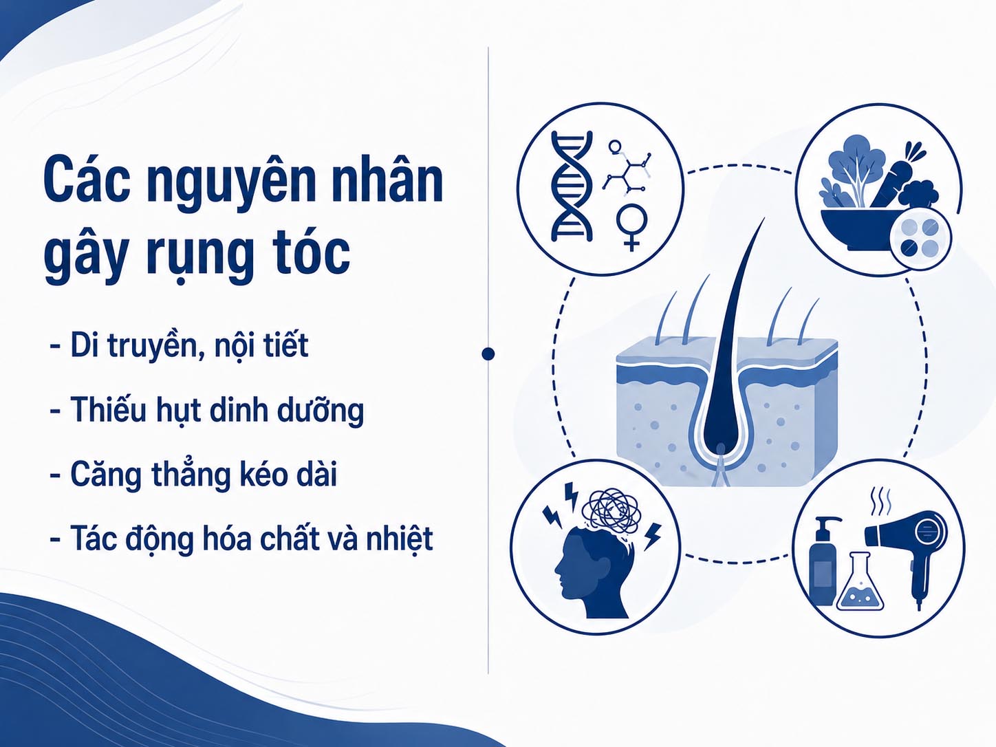 ảnh mô tả Các nguyên nhân gây rụng tóc phổ biến