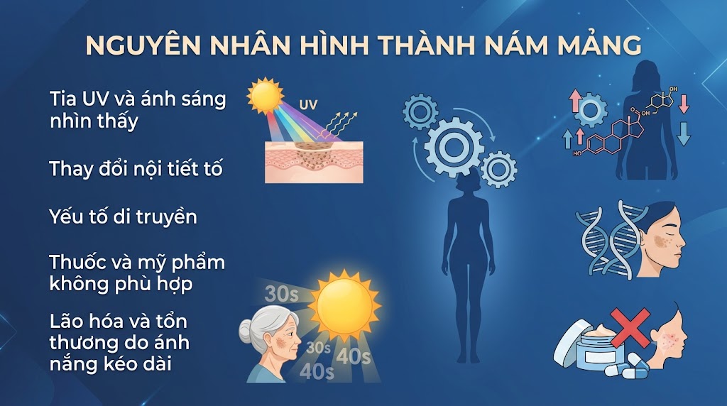 ảnh mô tả các Nguyên nhân hình thành nám mảng