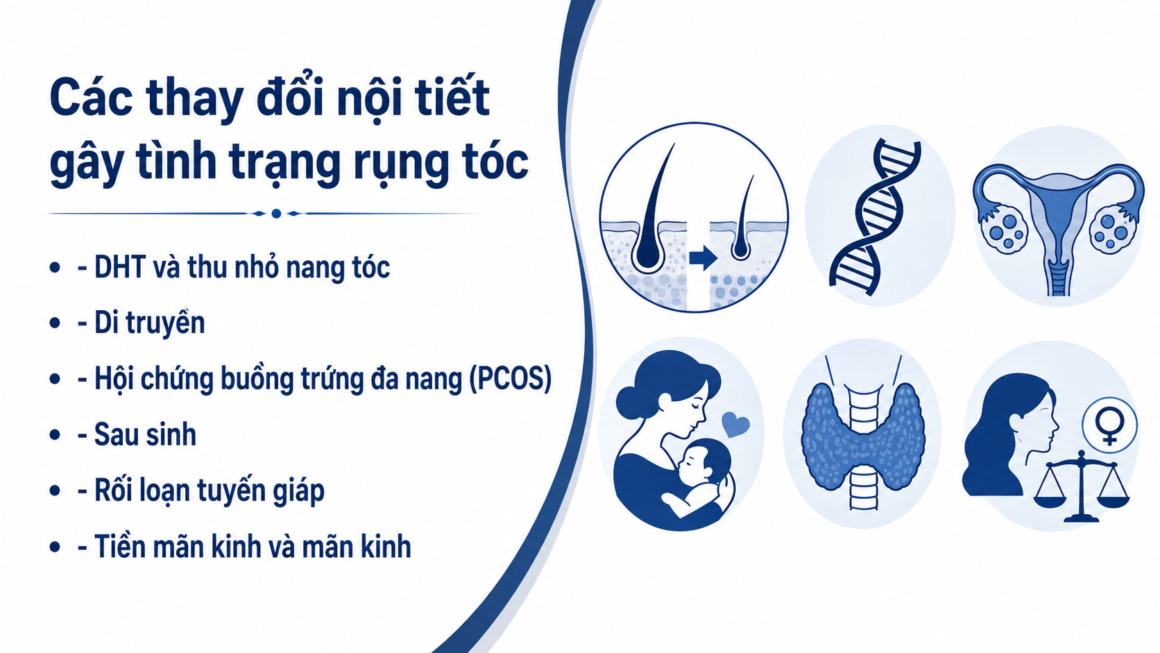 ảnh mô tả rõ Các thay đổi nội tiết gây tình trạng rụng tóc