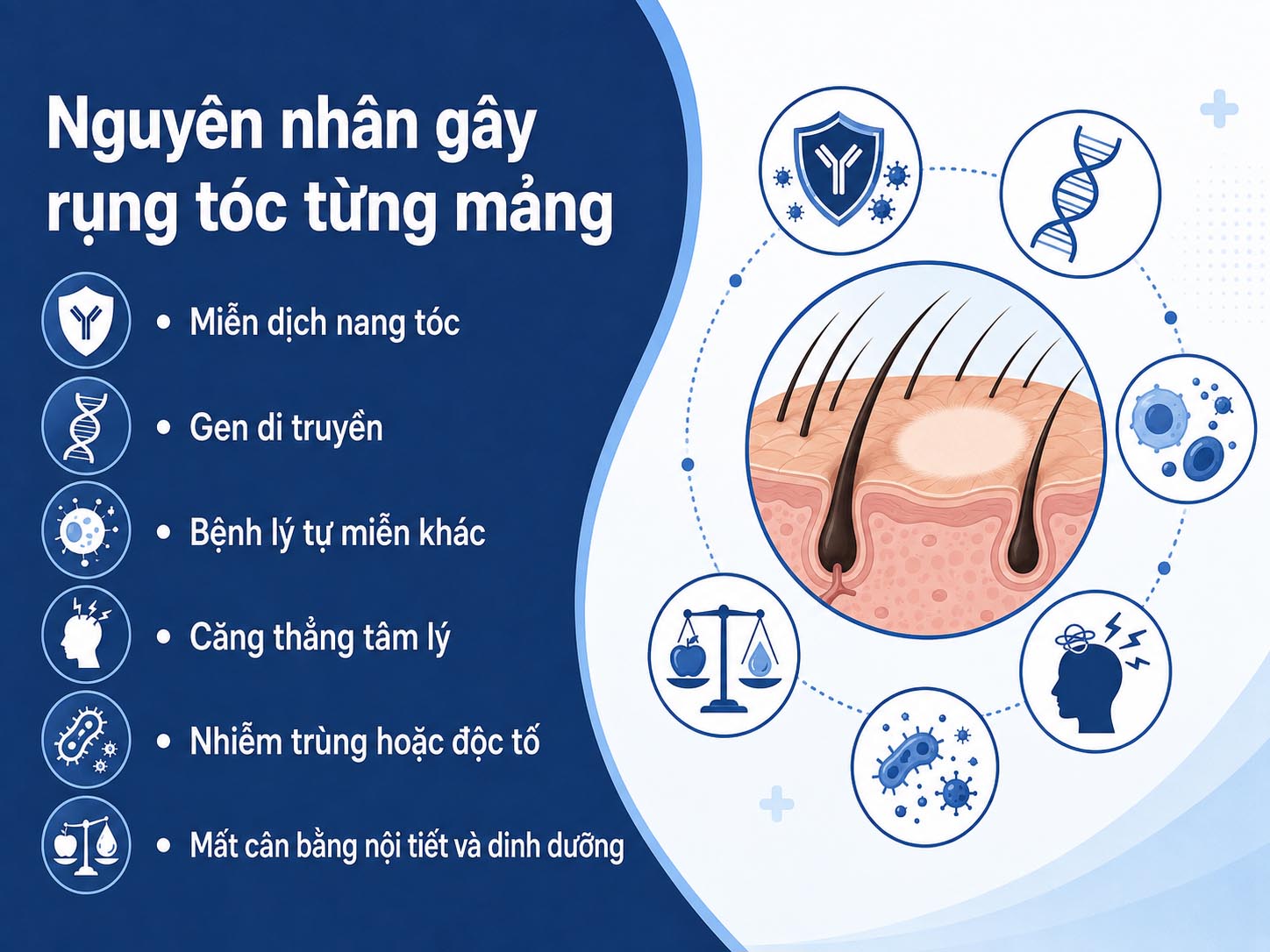 ảnh mô tả các Nguyên nhân gây rụng tóc từng mảng
