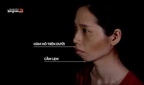 phan thị may