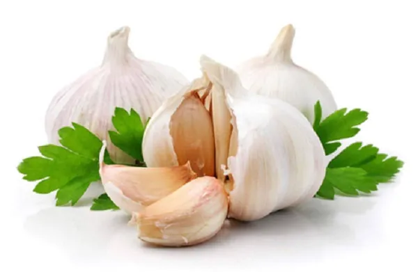 Thời gian tỏi phát huy tác dụng dao động khoảng 3 – 5 tháng