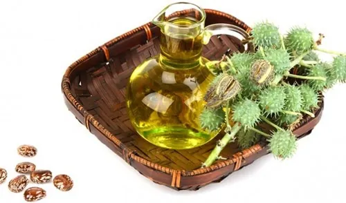 Thầu dầu có khả năng đẩy nhân nốt ruồi lên và giảm bớt sắc tố thâm đen của nó