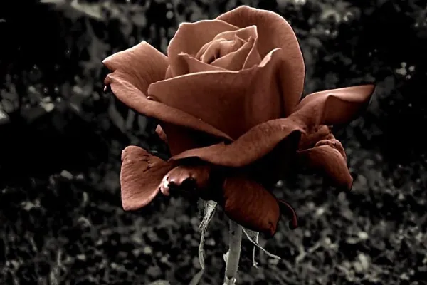 hiện trạng vùng kín