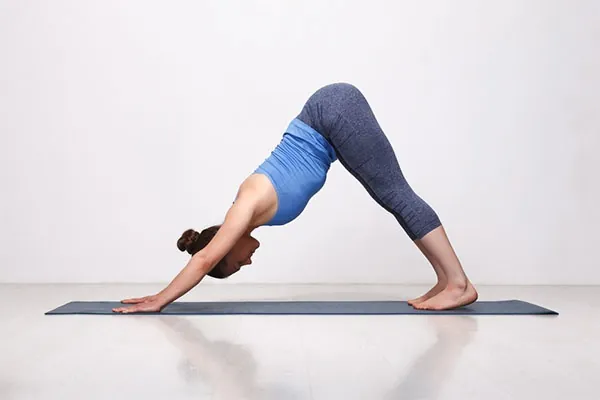 plank chữ v