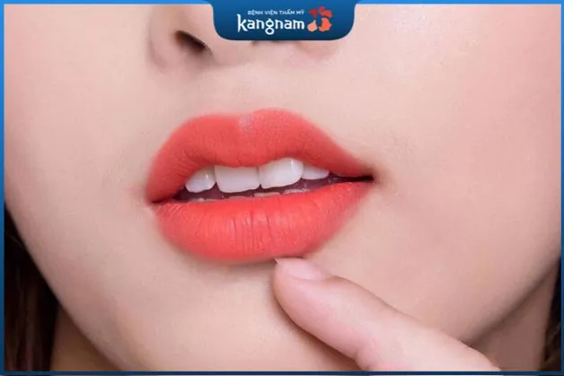 Bánh xe màu sắc trong phun xăm