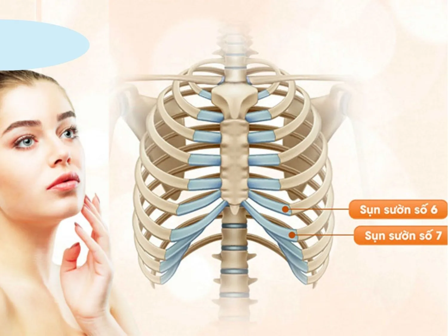 Hình ảnh mô phỏng đồ họa (3D) chỉ rõ các vị trí lấy sụn trên cơ thể người như sụn sườn